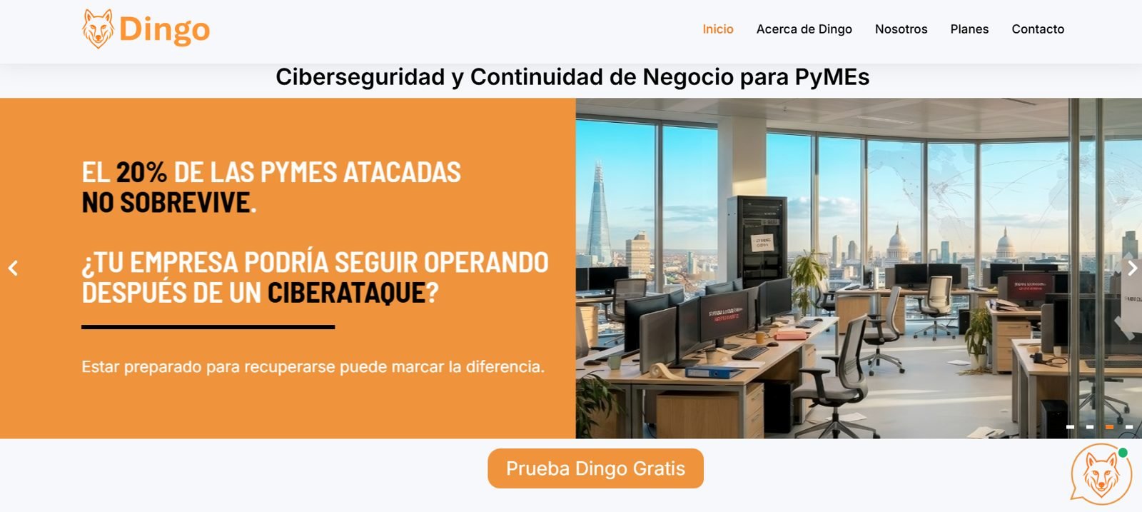 Captura del sitio Dingo